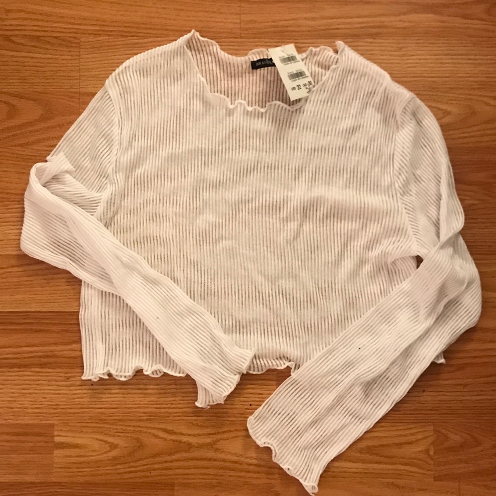 Brandy Melville Sheer Ribbed Crop Long Sleeve NWT